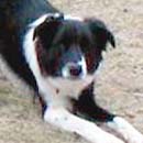 Dakota was adopted in April, 2003